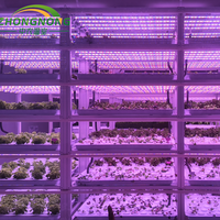 Système hydroponique intelligent de location pour grande ferme 40HQ, usine de culture de légumes-feuilles, structure en acier ultra-résistante, agricole