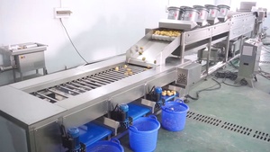 Ligne de traitement d'avocat personnalisée : machine de lavage, séchage, tri et pulpage d'avocat - Product Image 4
