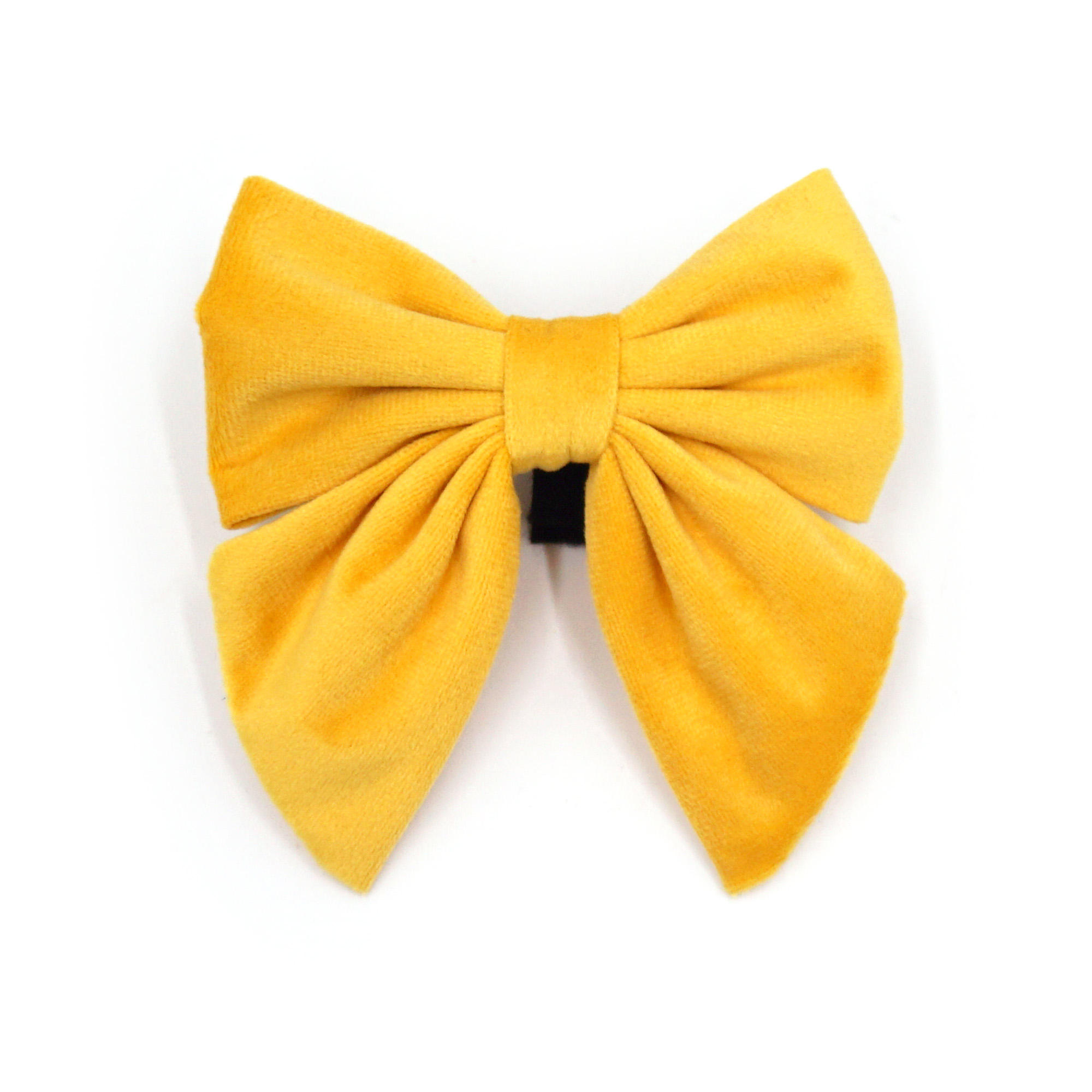 Pajarita marinero amarilla