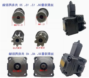 ปั๊มน้ำมัน KEILETO แบบใบพัด รุ่น VB1-20F-A1 VA1-153 1-2 1-1 1-123 1-2 1-1 - Product Image 3