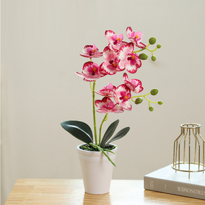 Phalaenopsis Kunstmatige Ingemaakte Kantoordecoratie Kleine Potfotografie Bonsai Groene Plant Decoratieve Potten - Product Image 3