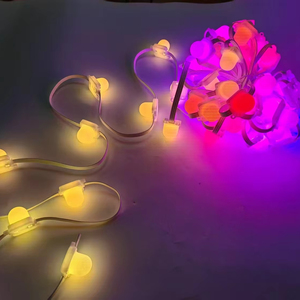 DC24V LED Pixe <span class=keywords><strong>Light</strong></span> Navidad Decoración al aire libre Punto de luz Aplicación de teléfono móvil Conectar Modo cambiante Cambio de color - Product Image 1