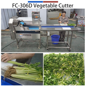 Large Capacity Industrial SUS304 Stainless Steel Vegetable Cutting Machine for Process Line 3T/H - Product Image 2
