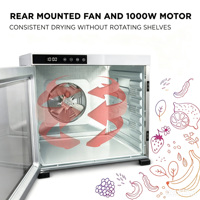 Deshidratador de Alimentos de 10 Bandejas, Totalmente en Acero Inoxidable, 1000W de Alta Potencia, Secador Profesional de Carne y Frutas, Fabricante OEM/ODM