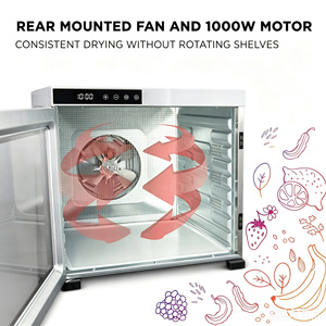 Deshidratador de Alimentos de 10 Bandejas, Totalmente en Acero Inoxidable, 1000W de Alta Potencia, Secador Profesional de Carne y Frutas, Fabricante OEM/ODM - Product Image 4