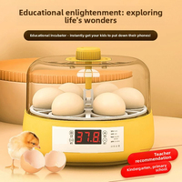 Incubadora de Huevos Inteligente Automática para el Hogar, Caja de Incubación con Cama de Agua para Huevos de Codorniz, Pollitos y Loros