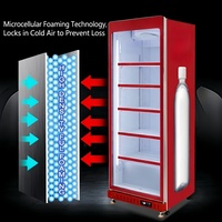 Réfrigérateur vertical commercial haut de gamme avec porte vitrée pour supermarchés, pour vin, boissons, cola, jus, lait, idéal pour hôtels et restaurants, vitrine de présentation