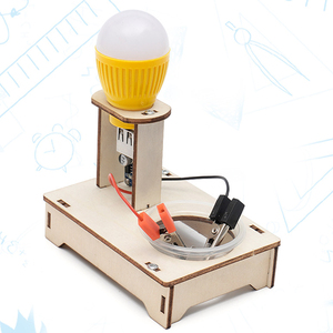 DIY STEM Scientific Experiment Toy Lampe à eau salée Science Toy DIY Physical Experiment of Brine battery - Product Image 5