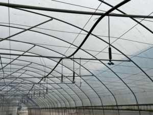 Serra Nebbia Sistema di Irrigazione - Product Image 2