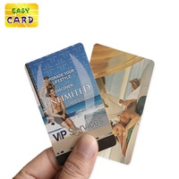 Carte VIP GSM personnalisée en PVC pour SPA avec numéro en relief