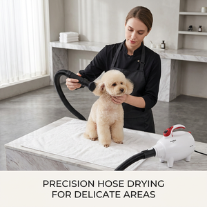 Sèche-cheveux <span class=keywords><strong>pour</strong></span> toilettage canin Shernbao PBD-702H avec tuyau flexible, buse directionnelle et poignée de transport 2600W 110-240V - Product Image 6