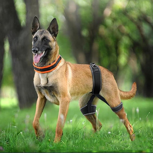 Ортопедический бандаж для собак при дисплазии тазобедренного сустава – современный полиэстер для облегчения боли, профилактики и защиты тазобедренного сустава - Product Image 1