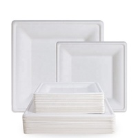 Assiette carrée de canne à sucre 6 8 10 pouces assiette de bagasse jetable compostable pour hôtel fête restaurant cafétéria