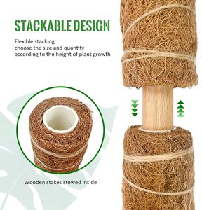 Venta caliente <span class=keywords><strong>Bonsai</strong></span> Plantas trepadoras Soporte 40cm <span class=keywords><strong>Coco</strong></span> Coir Moss Pole con accesorios - Product Image 4