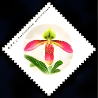 Autocollants de timbres-poste vintage, fournitures décoratives pour scrapbooking et journal
