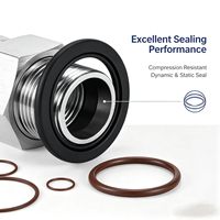 Joint torique en caoutchouc sur mesure NBR FKM Silicone pour l'étanchéité industrielle