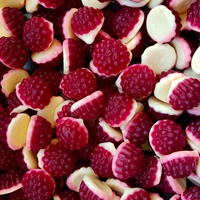 Vente directe d'usine, bonbons gélifiés halal à la saveur de fruits mélangés en forme de crocodile