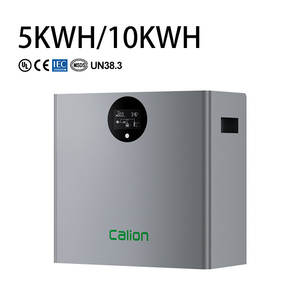 Batería de 48V 100Ah para Almacenamiento de Energía en el Hogar, Batería Lifepo4 de 10kWh Montada en Pared, Sistema de Almacenamiento de Energía Doméstico de 51.2V 200Ah - Product Image 6