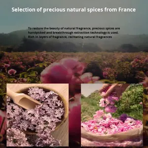 Profumo Corpo per Donna Bestseller per il Commercio Estero, Fragranza Vaniglia e Ambra, 250ml, Origine Shantou - Product Image 4