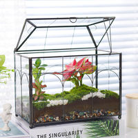Terrarium en verre fait main Tuoxin, style contemporain, transparent, tailles/formes personnalisables, logo sur mesure, vase de table polyvalent – Meilleures ventes