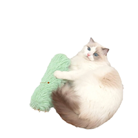 Vente en gros de papier froissé chat infusé à l'herbe à chat accompagné d'un oreiller en peluche jouets interactifs de mouvement pour animaux de compagnie