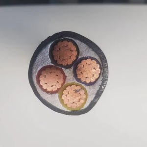 4*50 Mm² YJV N2XY U1000 <span class=keywords><strong>R02V</strong></span> 0.6/1KV CABLE DE PUISSANCE CUIVRE CONDUCTEUR XLPE ISOLATION PVC GAINE Multicores - Product Image 1