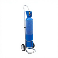 Chariot pliable en acier inoxydable Becho pour bouteilles de gaz médical industriel – Chariot à oxygène, azote, acétylène 2L, 5L, 10L