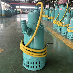 Pompe submersible anti-explosion de type isolation série BQS, haute protection IP68 pour l'industrie minière - Product Image 3