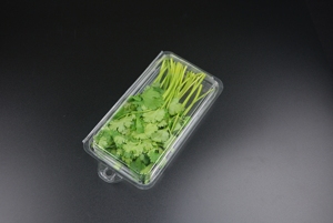 Vỏ Sò Thảo Mộc 3/4Oz Có Móc Treo 0.75Oz Vỏ Sò Thảo Mộc Có Móc Treo Bao Bì Vỏ Sò Thảo Mộc - Product Image 2