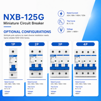 Disjoncteur AC NXB-125G B Curve 63A 80A 100A avec protection contre les surcharges pour circuits d'éclairage, prêt à l'emploi résidentiel
