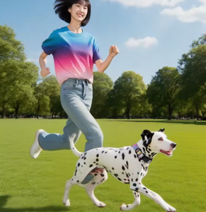 Grenzüberschreitendes neues Prinzessinnen-Stil Hundehalsband aus strapazierfähigem, reißfestem Polyester für mittelgroße und große Hunde, verstellbar, Farbverlauf - Product Image 1