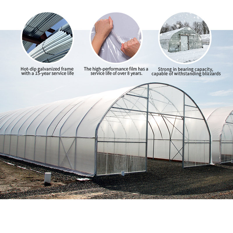 Vegetables Growing Nft Hydroponic System Pe
