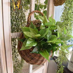 DD2571 Vente en gros Panier mural suspendu en osier naturel pour fleurs, panier suspendu en rotin tressé pour jardin - Product Image 5