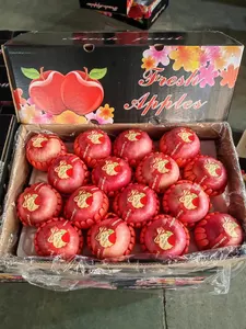 Red Delicious Fuji Apples Shandong Yantai Penglai Fuji Apple