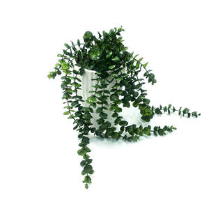 Plante artificielle d'<span class=keywords><strong>eucalyptus</strong></span> hautement réaliste en <span class=keywords><strong>pot</strong></span> en céramique pour la décoration intérieure et extérieure de la maison, des mariages, de Noël et des hôtels - Product Image 1