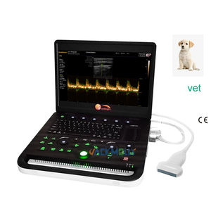 Instruments à ultrasons pour ordinateur portable médical JM-800C Scanner à ultrasons portable <span class=keywords><strong>Prix</strong></span> <span class=keywords><strong>Machine</strong></span> à ultrasons vétérinaire - Product Image 1