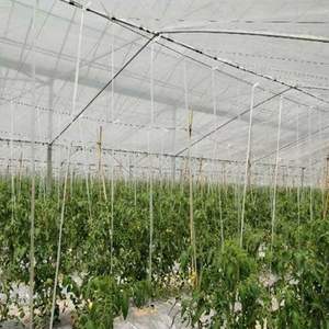 Película de polietileno de alta calidad, estructura Simple y económica, <span class=keywords><strong>casa</strong></span> verde - Product Image 6