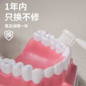 Electric <b>Toothbrush</b> For Adults Dry Cell Battery IPX7 Waterproof 2 Brush <b>Heads</b> Soft Bristles Cow Pattern Design - Product Image 4