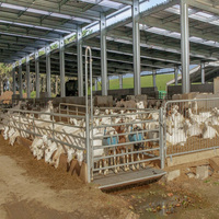 Structure en acier de qualité supérieure, hangar multi-usages pour animaux, hangar à moutons professionnel en acier