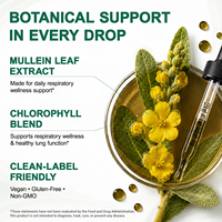 ArtoaLabs - Tintura de Extracto de Hoja de Gordolobo Natural a Base de Hierbas, Suplementos Líquidos Orales, Gotas Orgánicas de Gordolobo para Desintoxicar y Limpiar los Pulmones