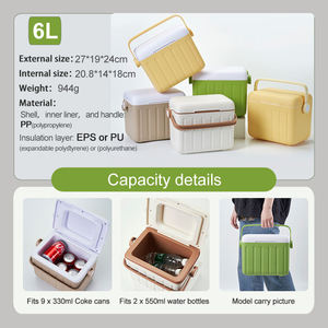Sac isotherme promotionnel pas cher avec logo personnalisé, 6L, pour pique-nique en plein air, imperméable, écologique, en PP de qualité alimentaire, avec poignée facile à transporter, pour canettes - Product Image 3