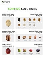 Voor Wesorteermachine Voor Volwassen Voedselverwerking Voor Rauwe Koffie-Fruit Voor Het Sorteren Van Fruit