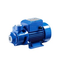 Pompe à eau claire QB60/QB80 pour conduites d'eau du robinet, pompe centrifuge de surpression, 110V/220V, alimentée par énergie solaire, 3,6 GPM, en fonte
