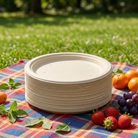 ECO SOUL Assiette jetable moderne en bagasse de 6 pouces (lot de 100, motif uni rond)