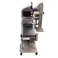 Machine de marquage laser haute vitesse pour pochettes en carton avec positionnement visuel et contrôle de la qualité après codage, tout-en-un