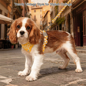 Ensemble Harnais et Laisse pour <span class=keywords><strong>Chien</strong></span> Motif Damier Rétro, Harnais Respirant en Maille pour Petits Chiens, Accessoires pour Chiens - Product Image 5