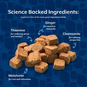 อาหารเสริมโปรไบโอติกแบบเคี้ยวเนื้อนุ่มสำหรับสุนัข ยี่ห้อ OEM/ODM ผลิตภัณฑ์เสริมอาหารเพื่อสุขภาพทางเดินอาหาร ช่วยเสริมภูมิคุ้มกันและบำรุงลำไส้สำหรับสุนัข - Product Image 4