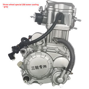 Moteurs de moto 250cc, moteur de moto à trois roues 250cc - Product Image 2