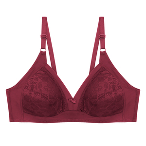 <span class=keywords><strong>Reggiseno</strong></span> all'ingrosso da donna Plus Size Basic sottile traspirante e confortevole senza fili morbido pizzo <span class=keywords><strong>C</strong></span> Cup reggiseni da donna - Product Image 2
