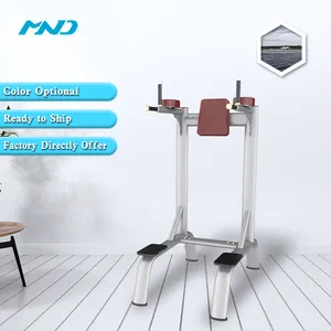 Mnd Fitness Verticale Knieën Up Dip Oefening Trainer Commerciële Gym Apparatuur Fabrikant Fitness Apparatuur Machine
